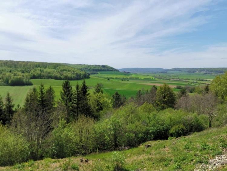 Le Nid D'Alex Spa , Rando Et Table D'Hote Autigny-la-Tour Zewnętrze zdjęcie